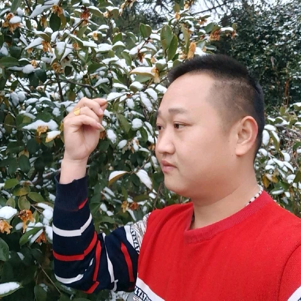 我是糖糖