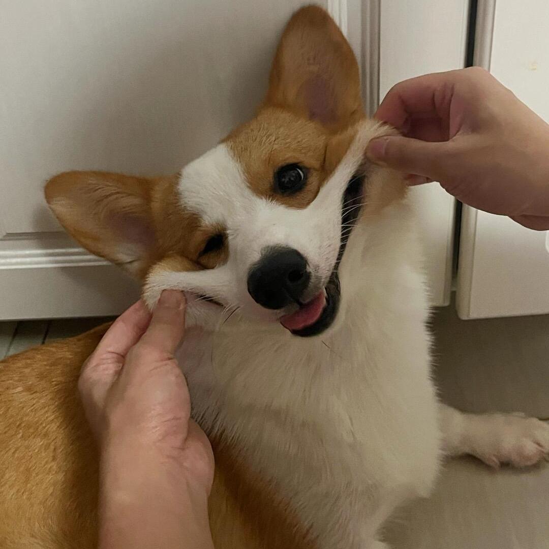 南笙