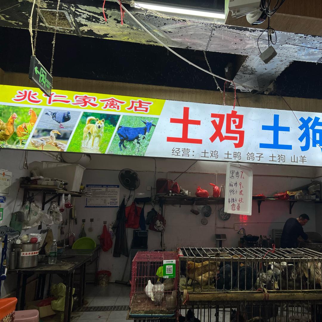 （兆仁家禽城南店）黎宝