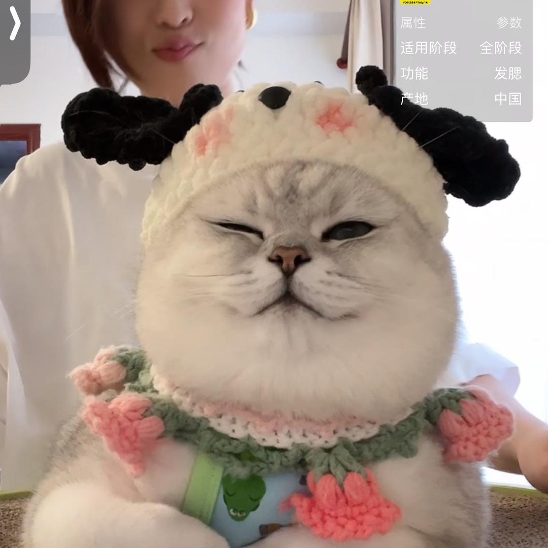 爱你不是两三天