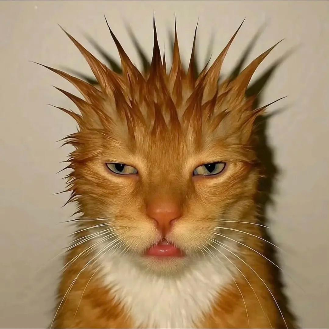 混h社会的好兄弟变成女孩子后竟要和我恋爱