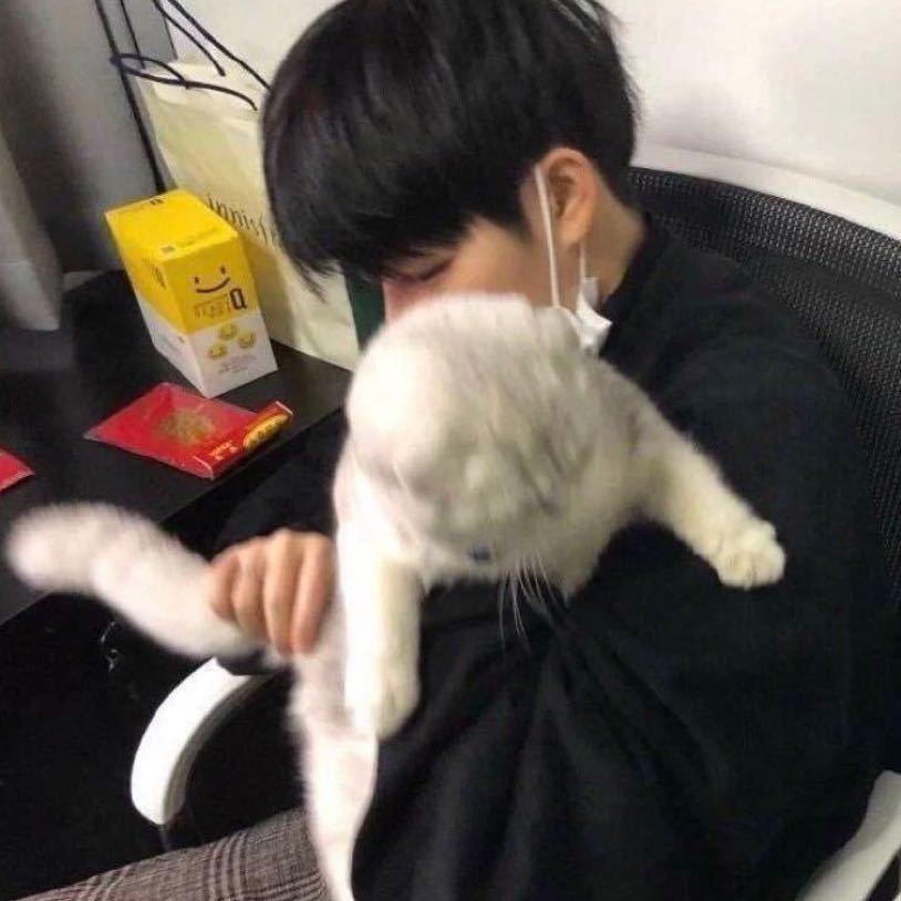 小小宇