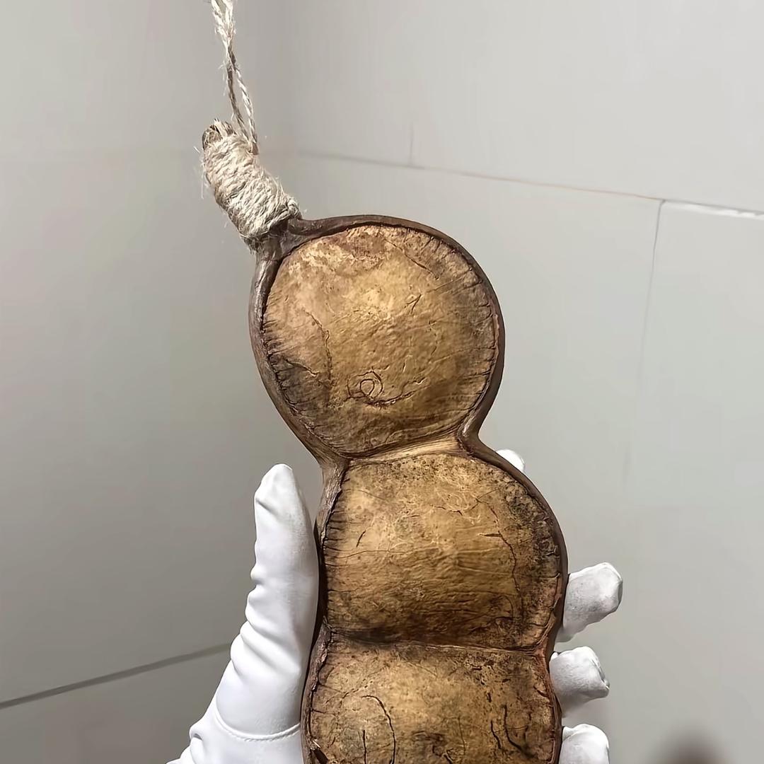 大自然的灵感小屋