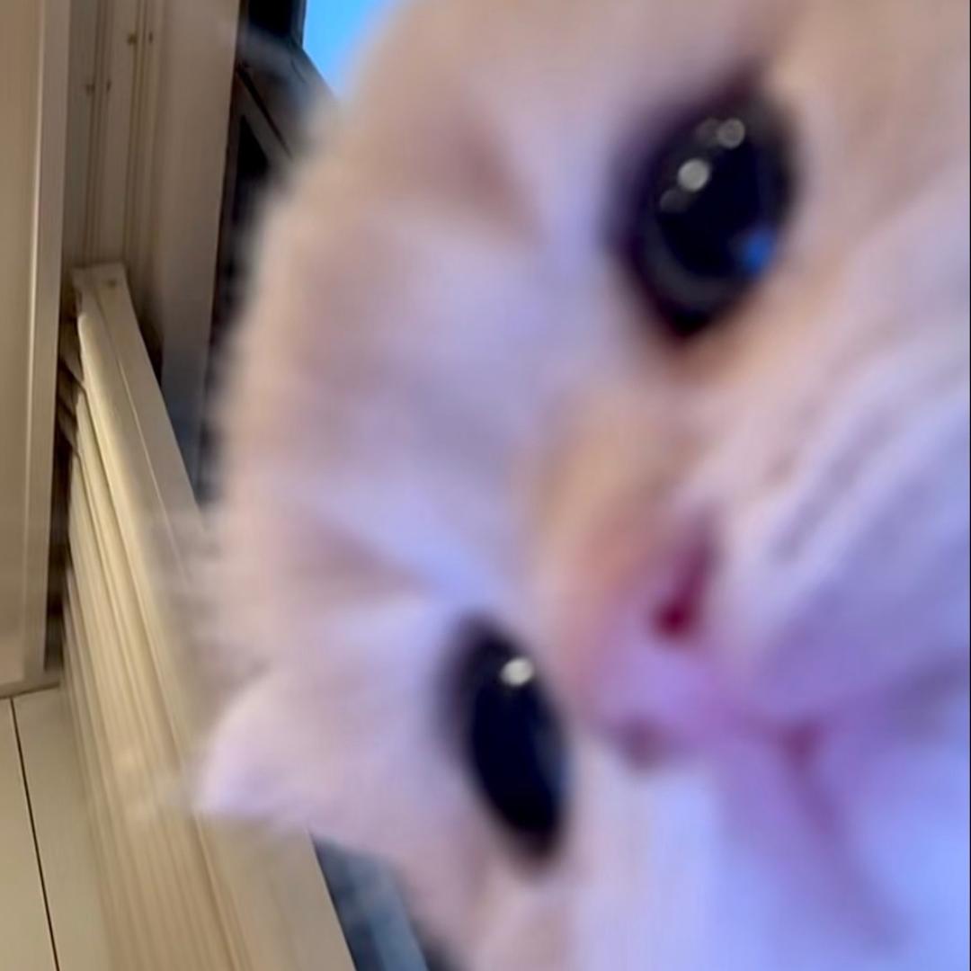 泡面o.O