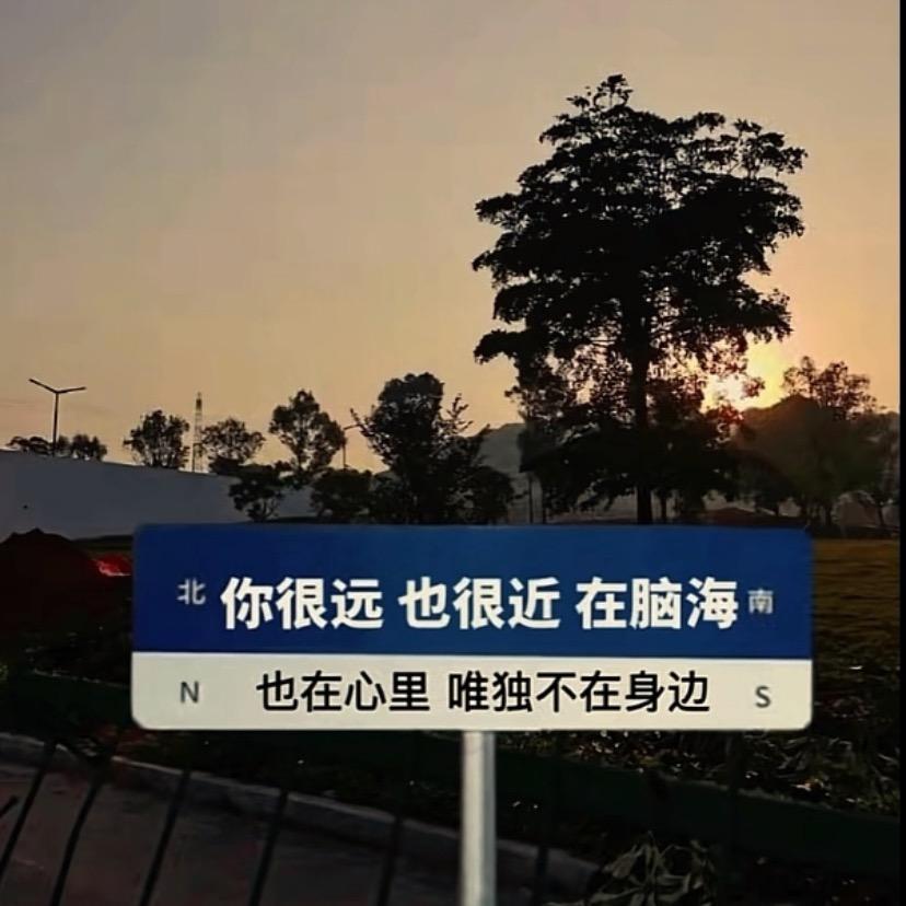 七安/