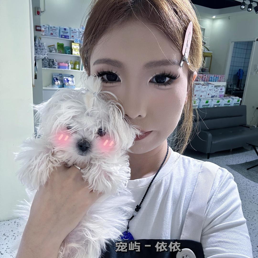 宠屿-依依