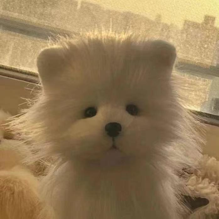 不吃香菜ing