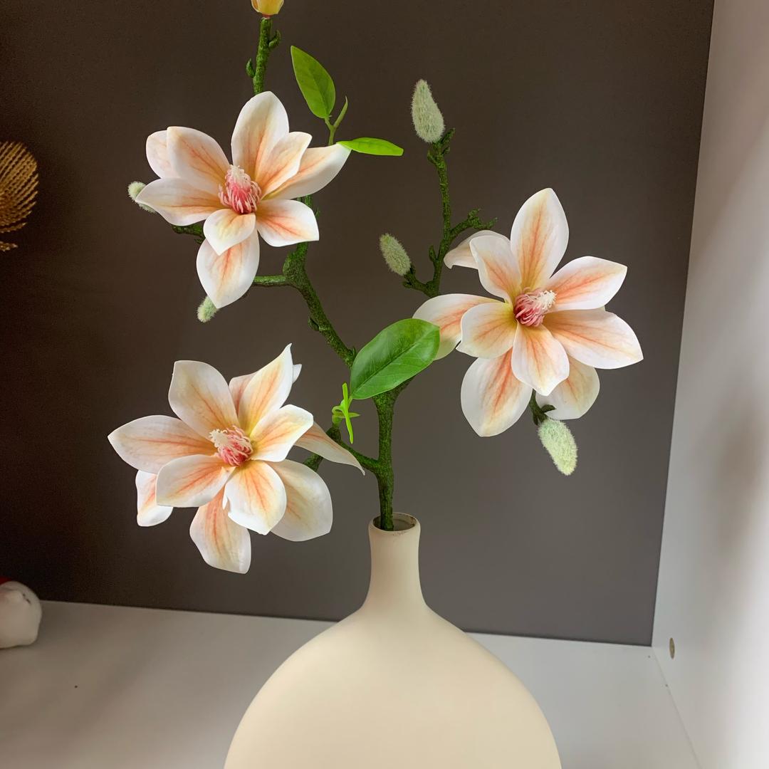 芝麻麻开花🌼
