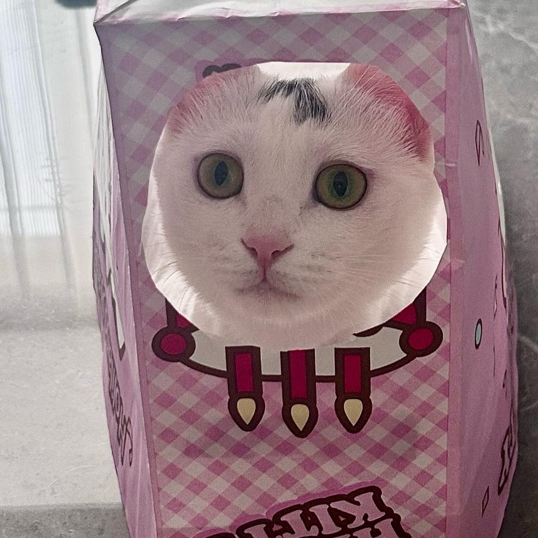 刘小咪