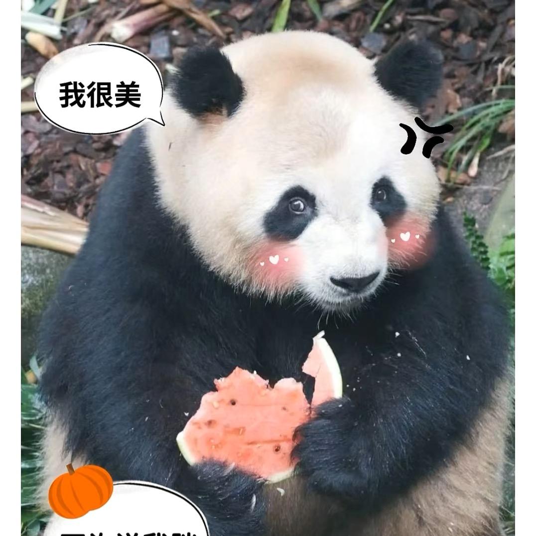 荔枝🍒肉姐