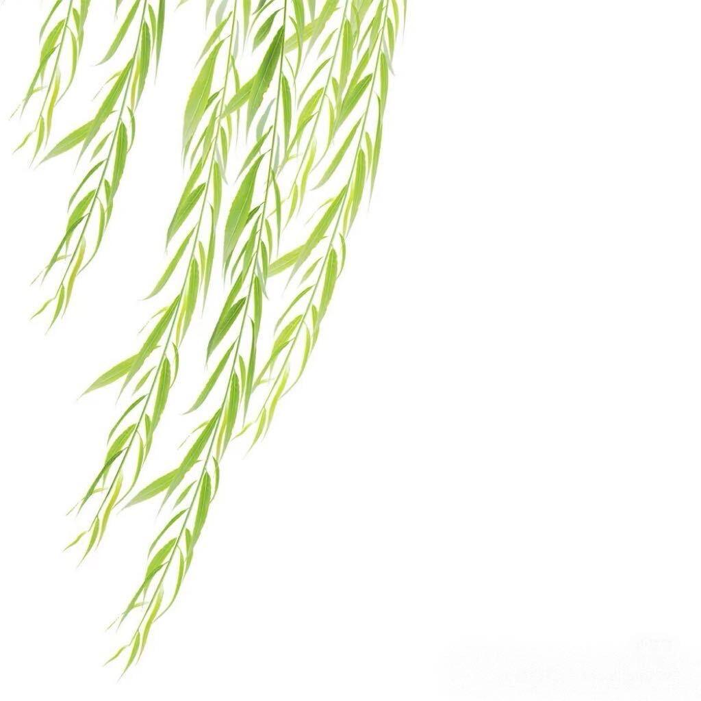 没关系咩·