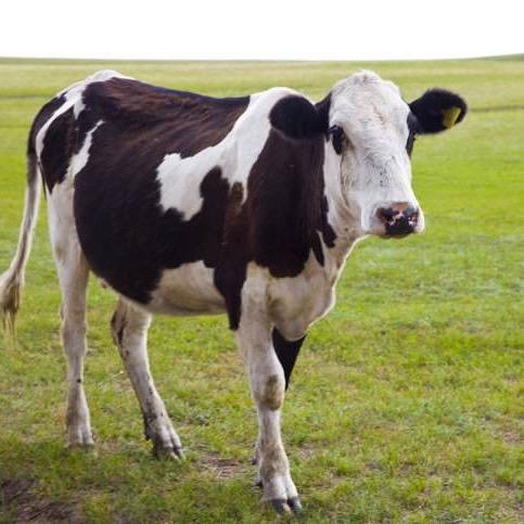 诚信精品推荐铺