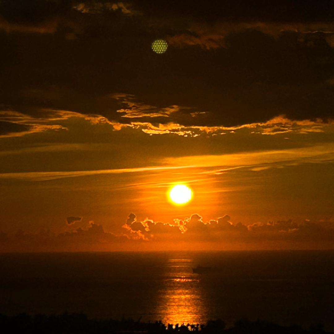 偷吃贡品被祖宗托梦投抖加骂上热搜🔥