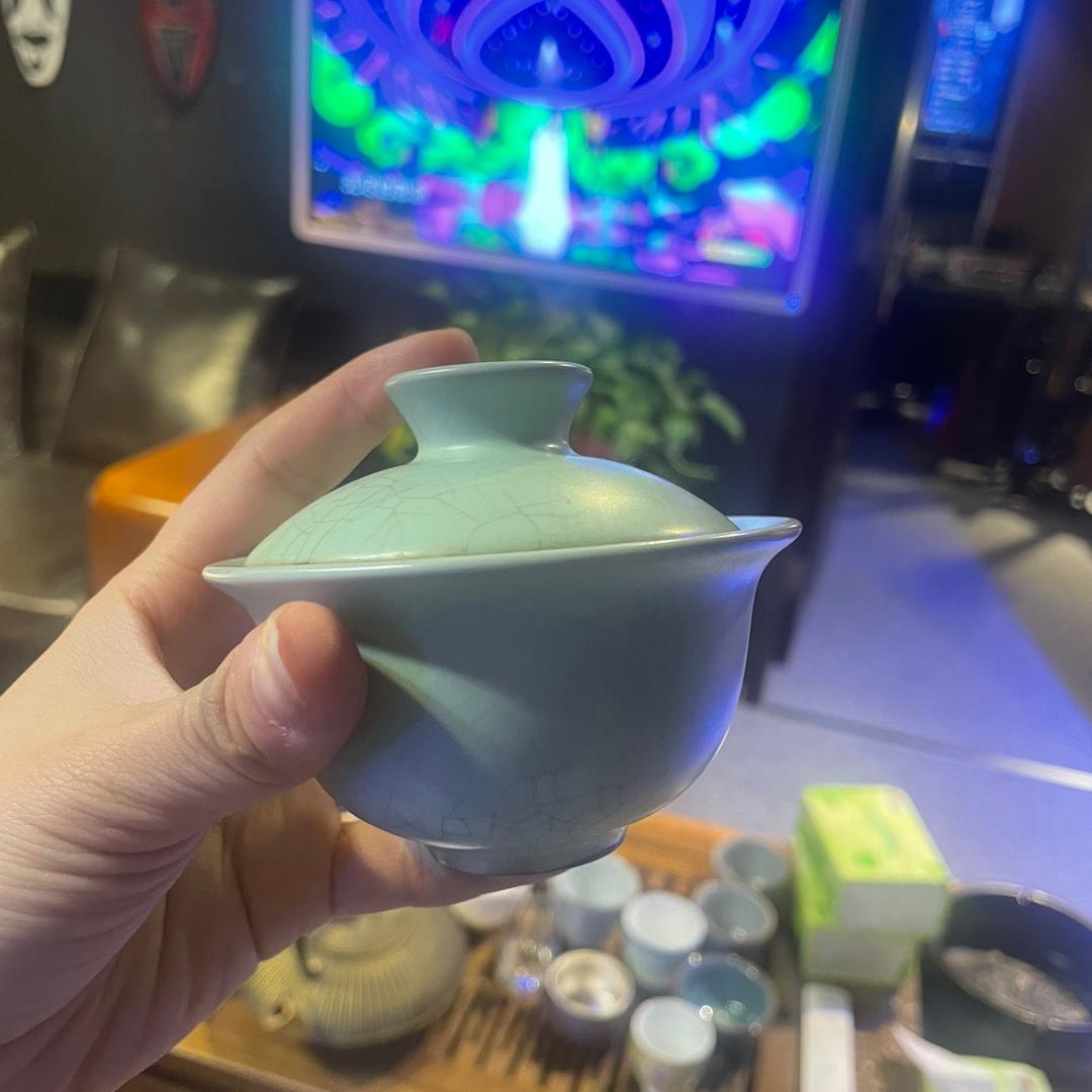 中国毛莎莎