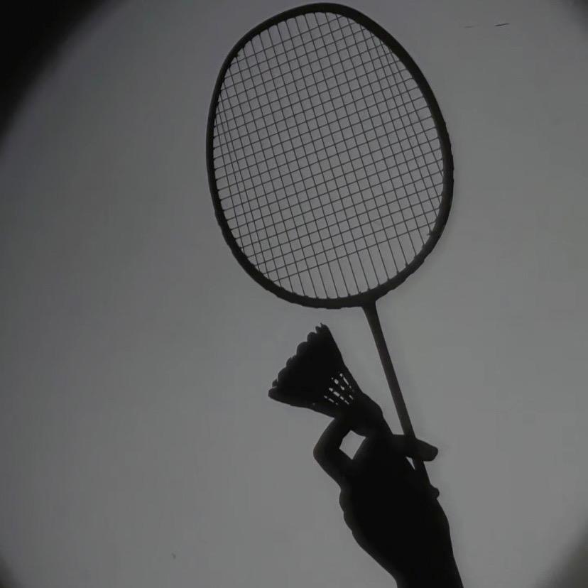 小鱼儿羽毛球🏸️【二手羽毛球】