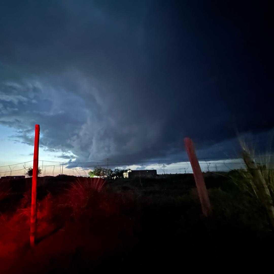 💋骑上骆驼🐫来看你