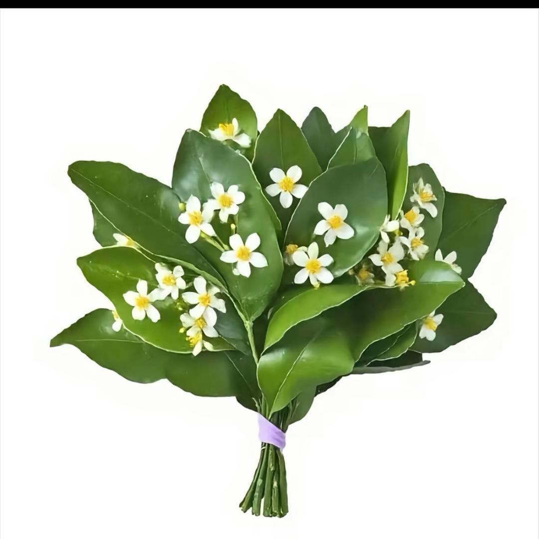 谋财ઈོ上岸࿐