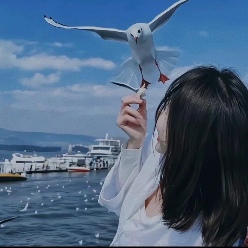 小艺……