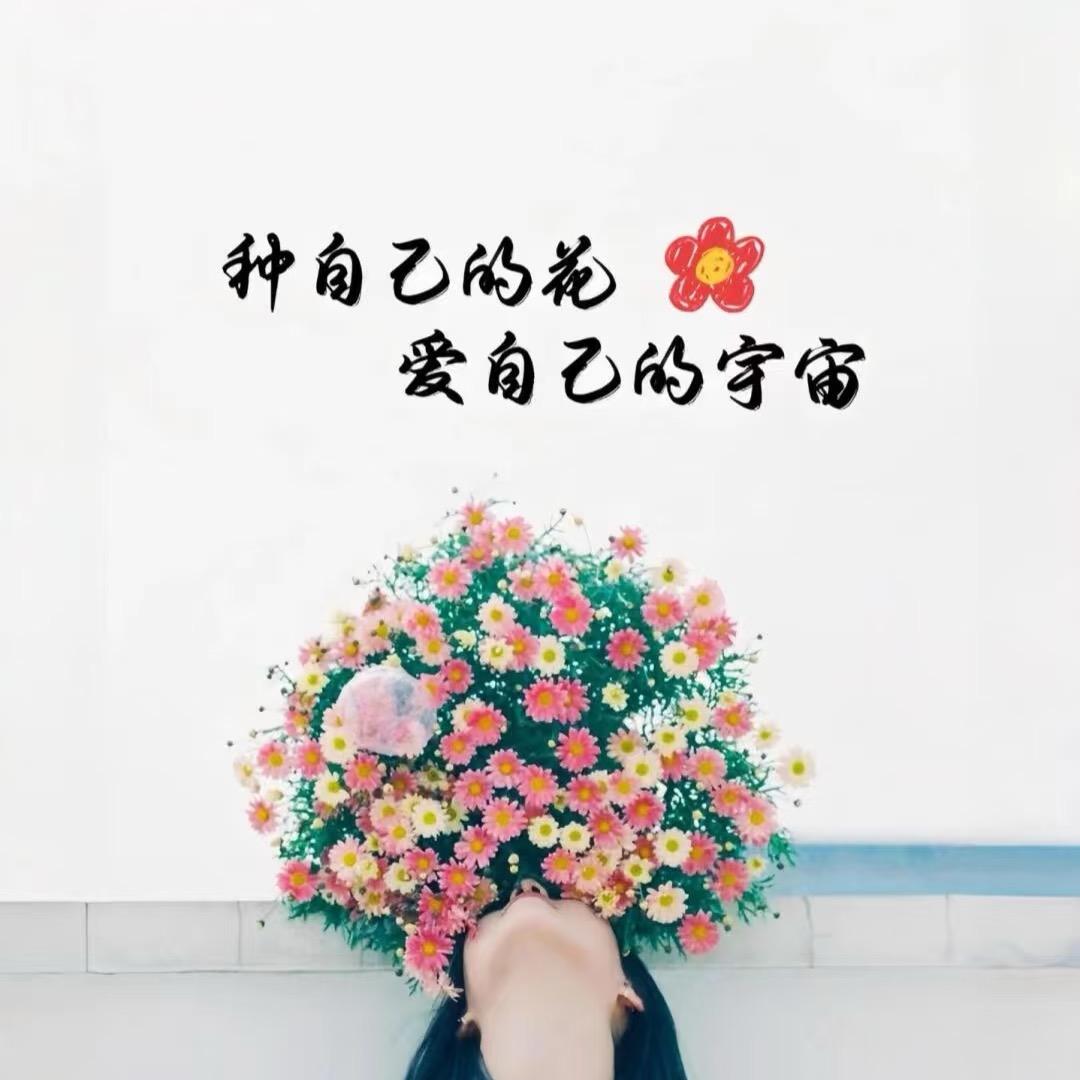 快乐的收藏家