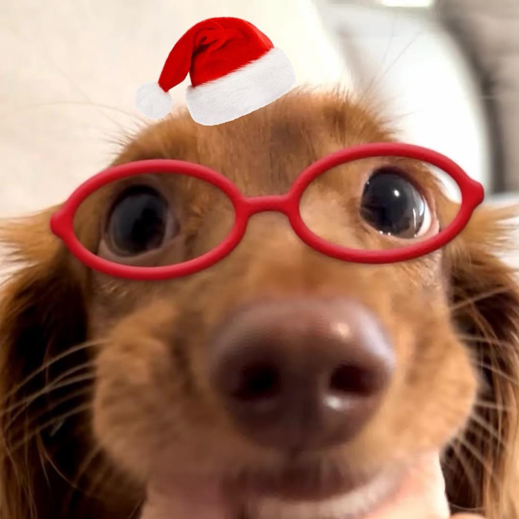 醋溜大鼻嘎鼻嘎炒豆芽