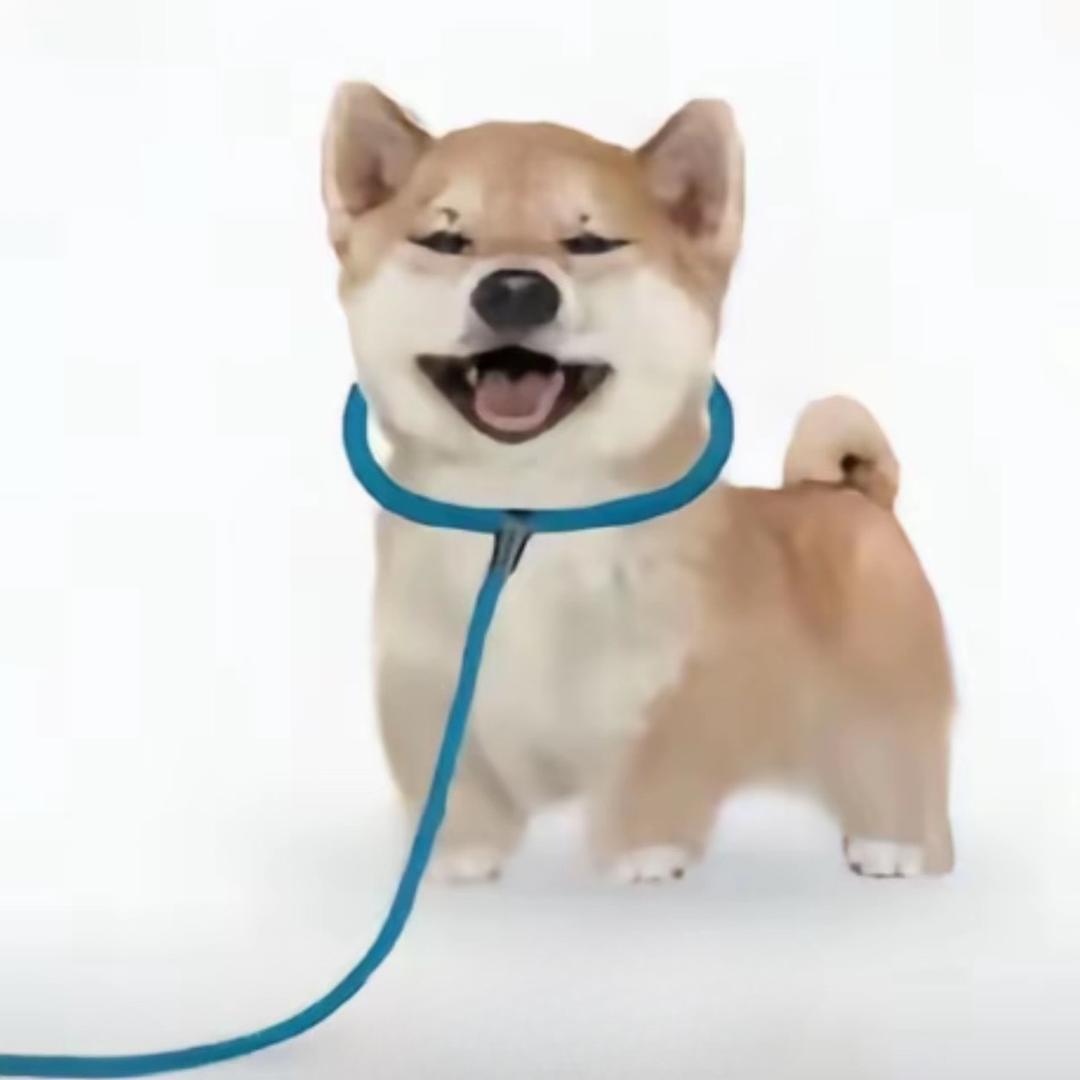 里鱼