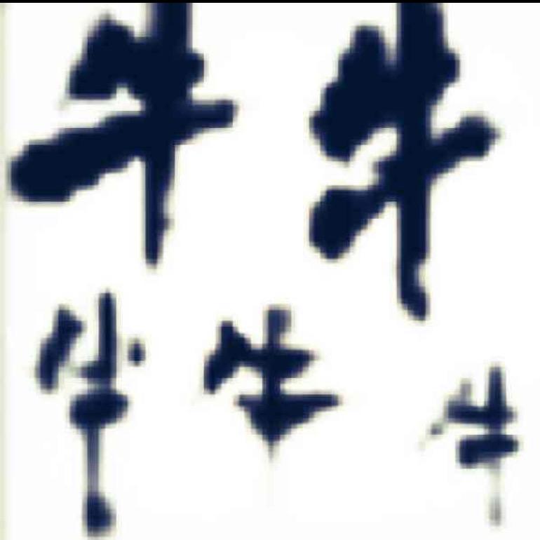 牛牛樱桃园