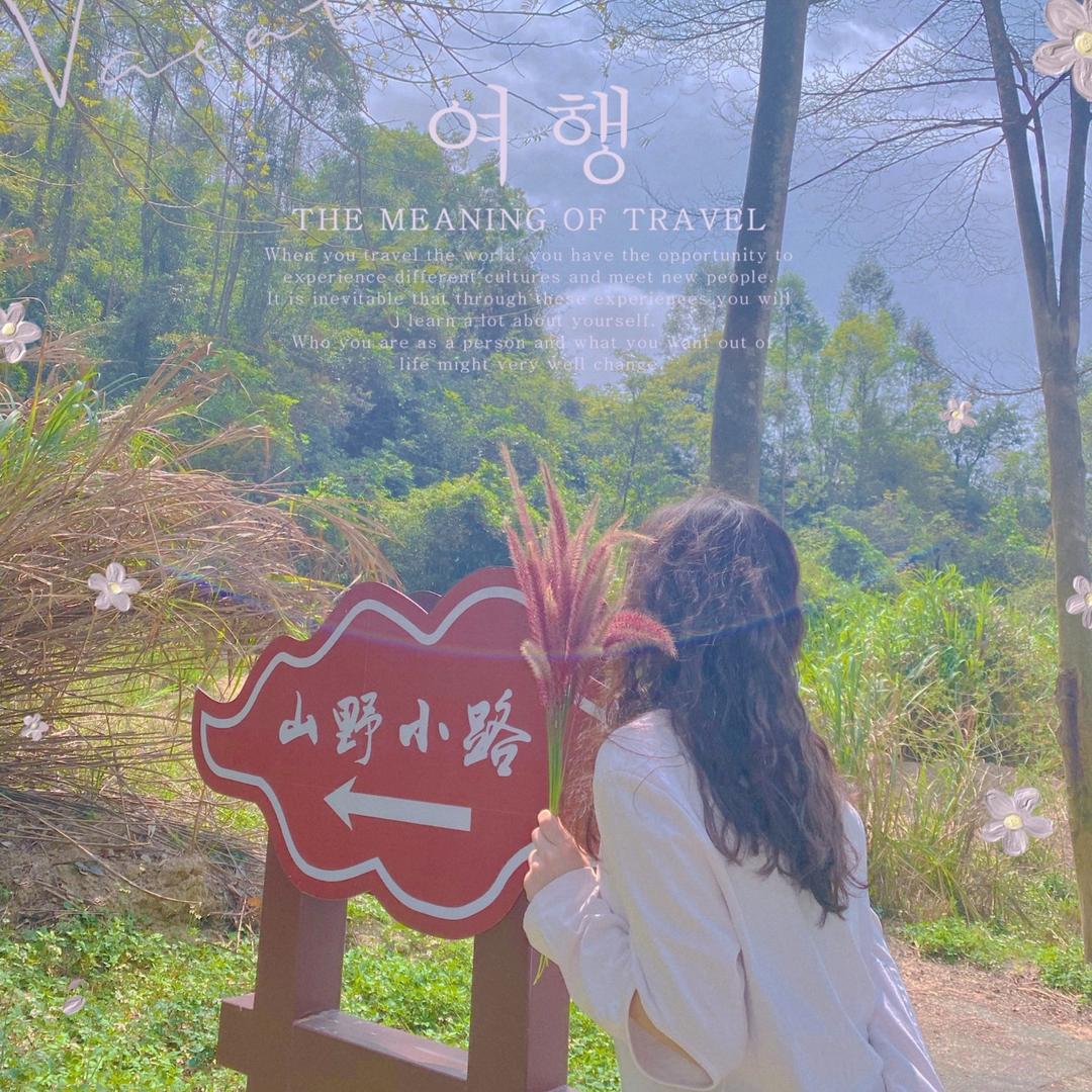 肖兔叽的坚果是只猫🐰