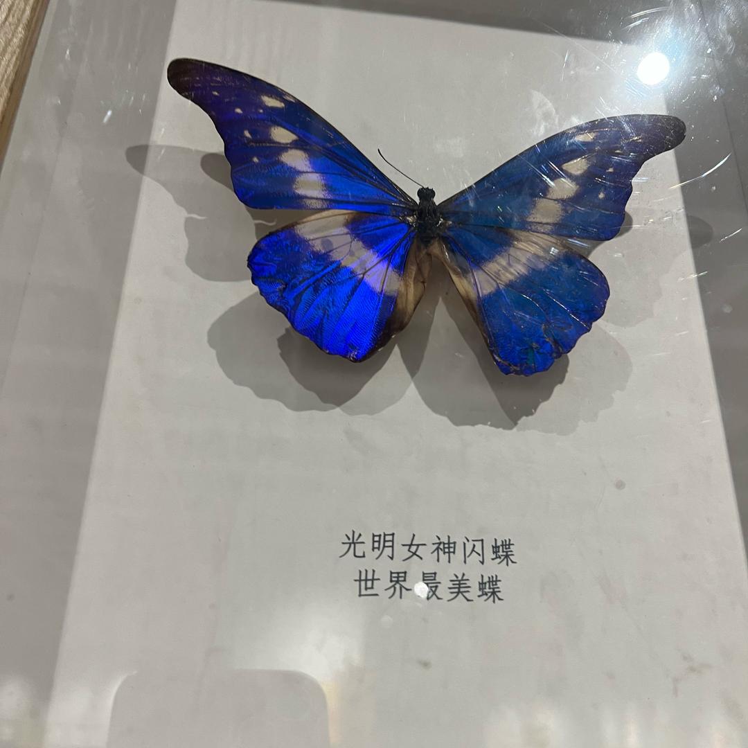 💕零度💕