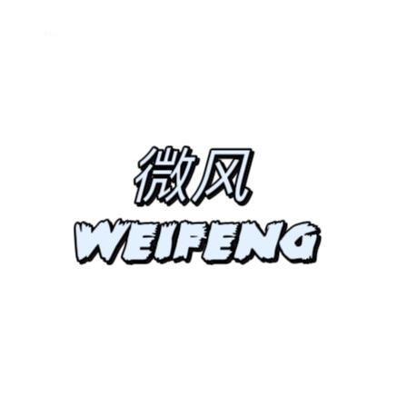 微风轻奢女鞋
