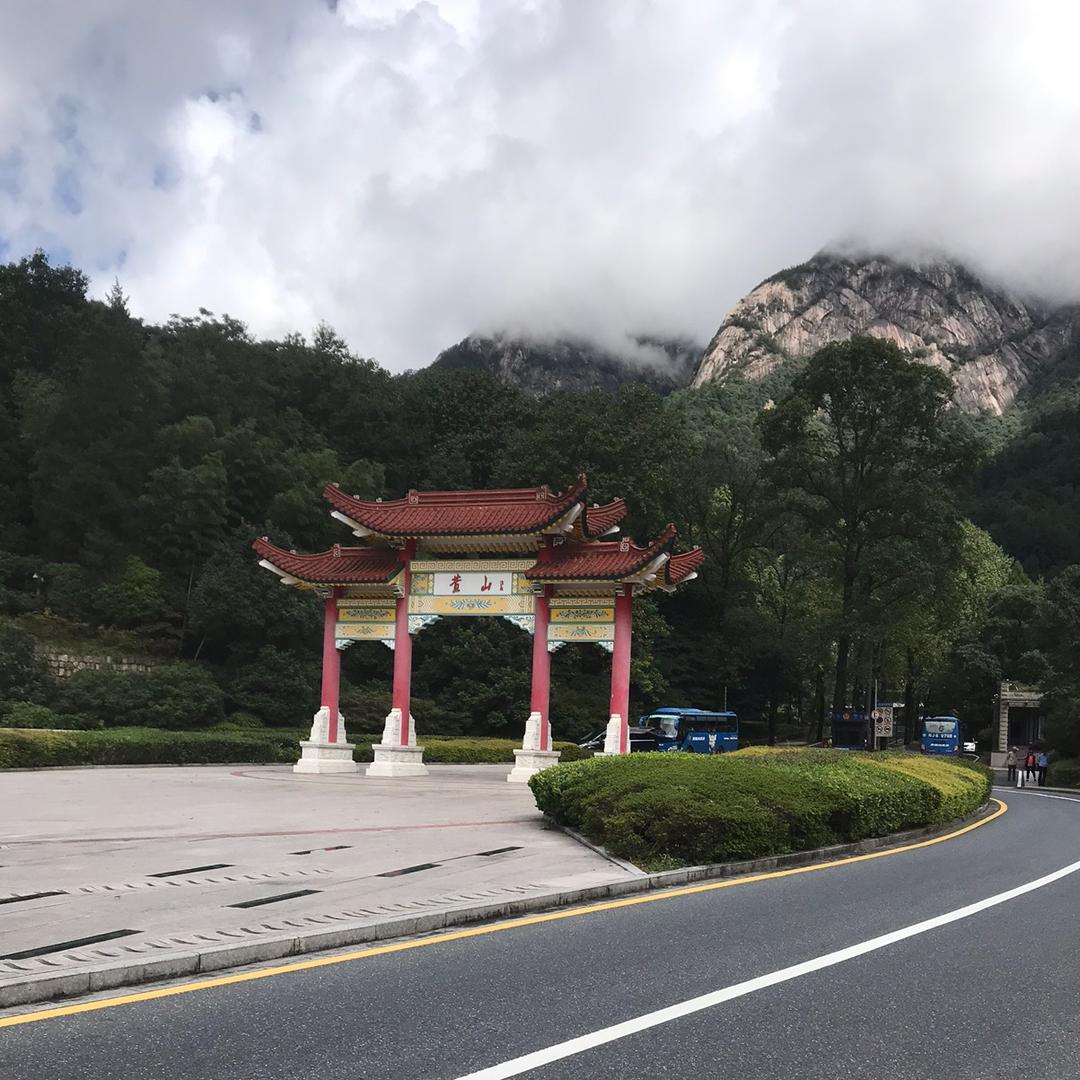 才才