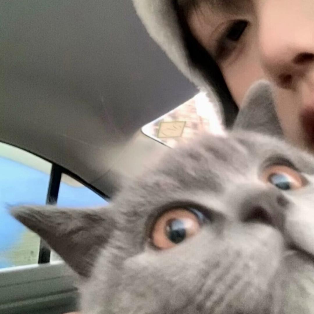 电光水母