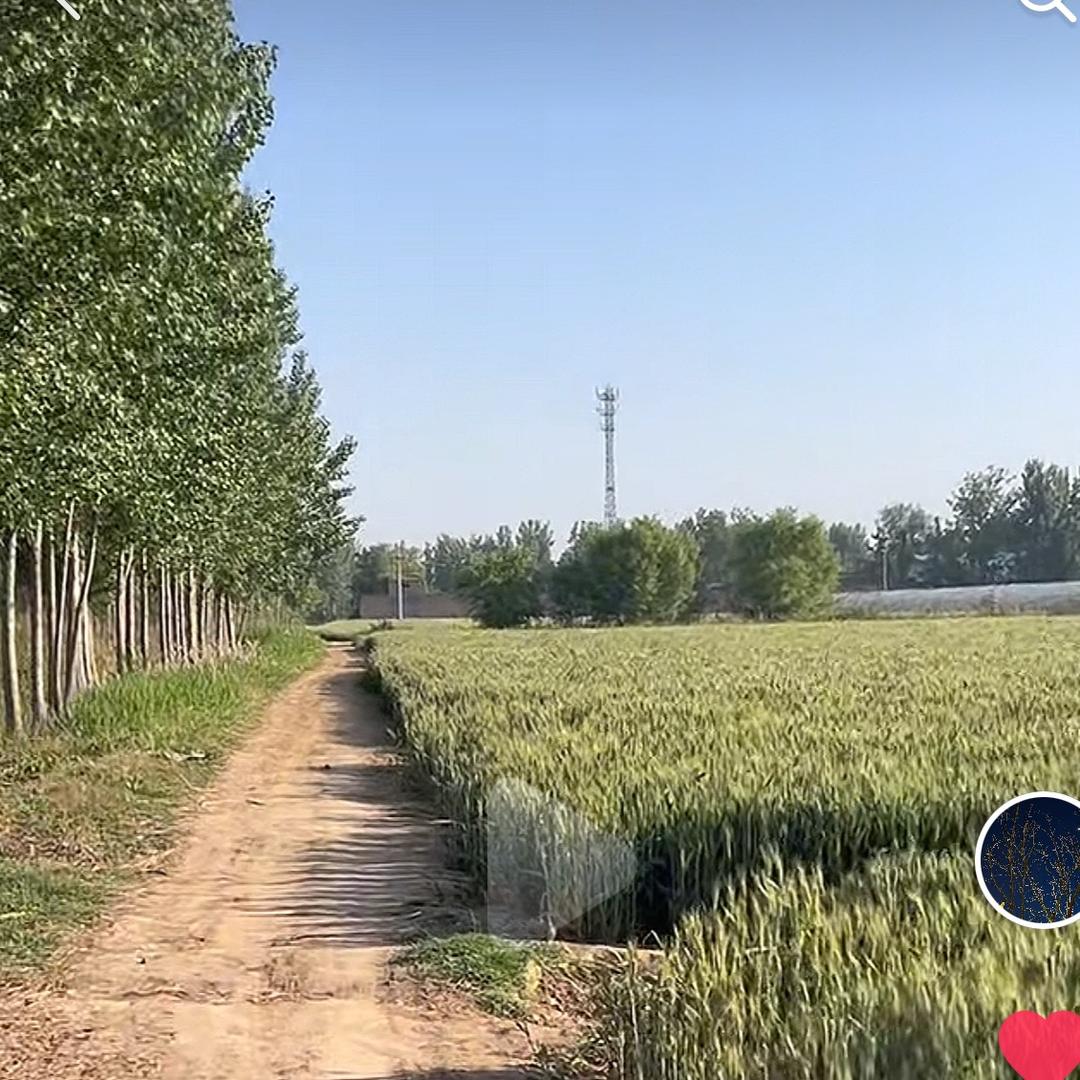 小王户外