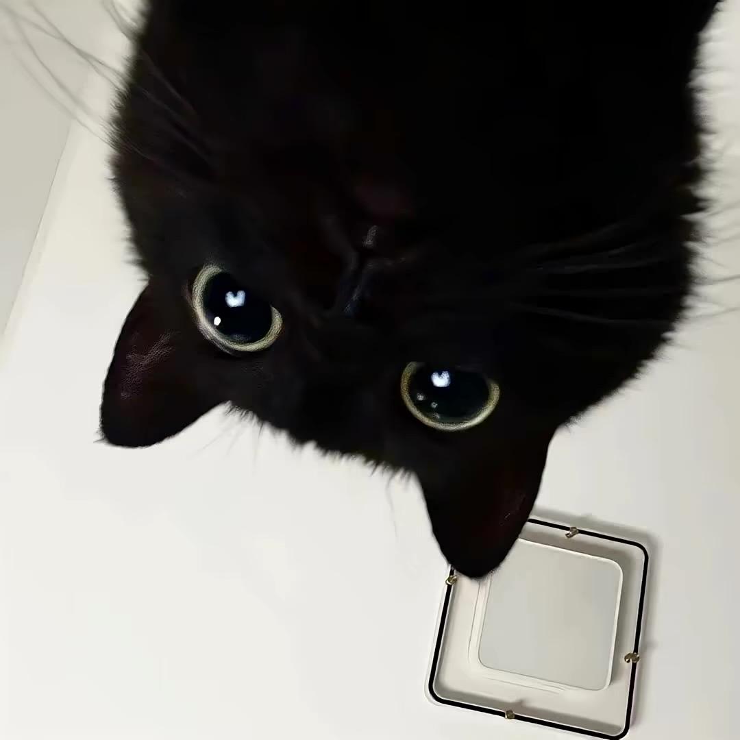 ㅤ   ㅤ   ㅤ