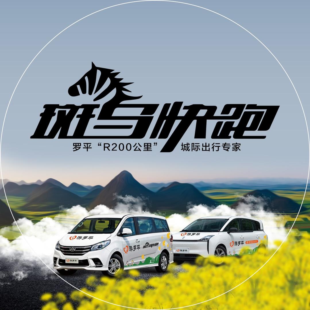 罗平斑马网约车（黔程出行）
