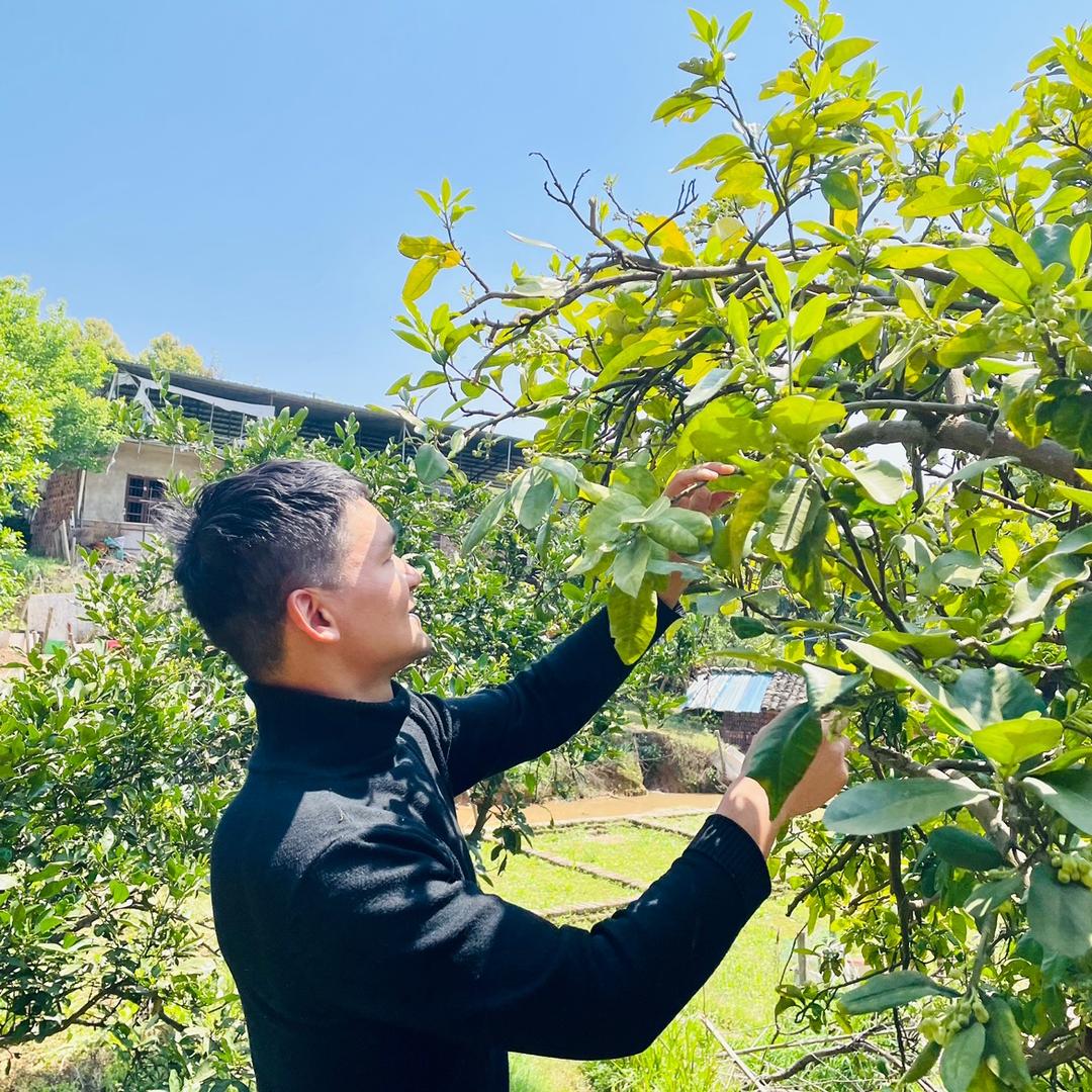 湘村乐哥