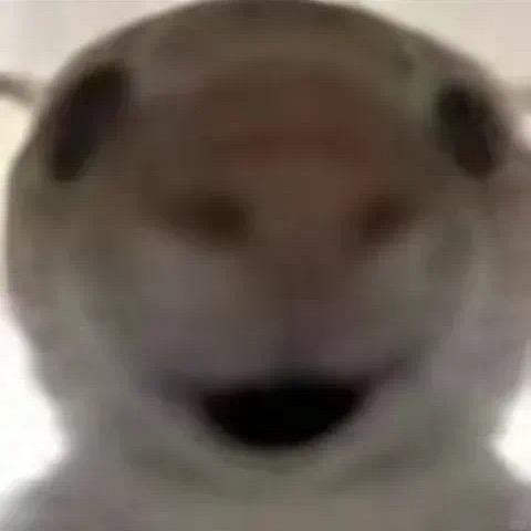 无人无畏契约♻️