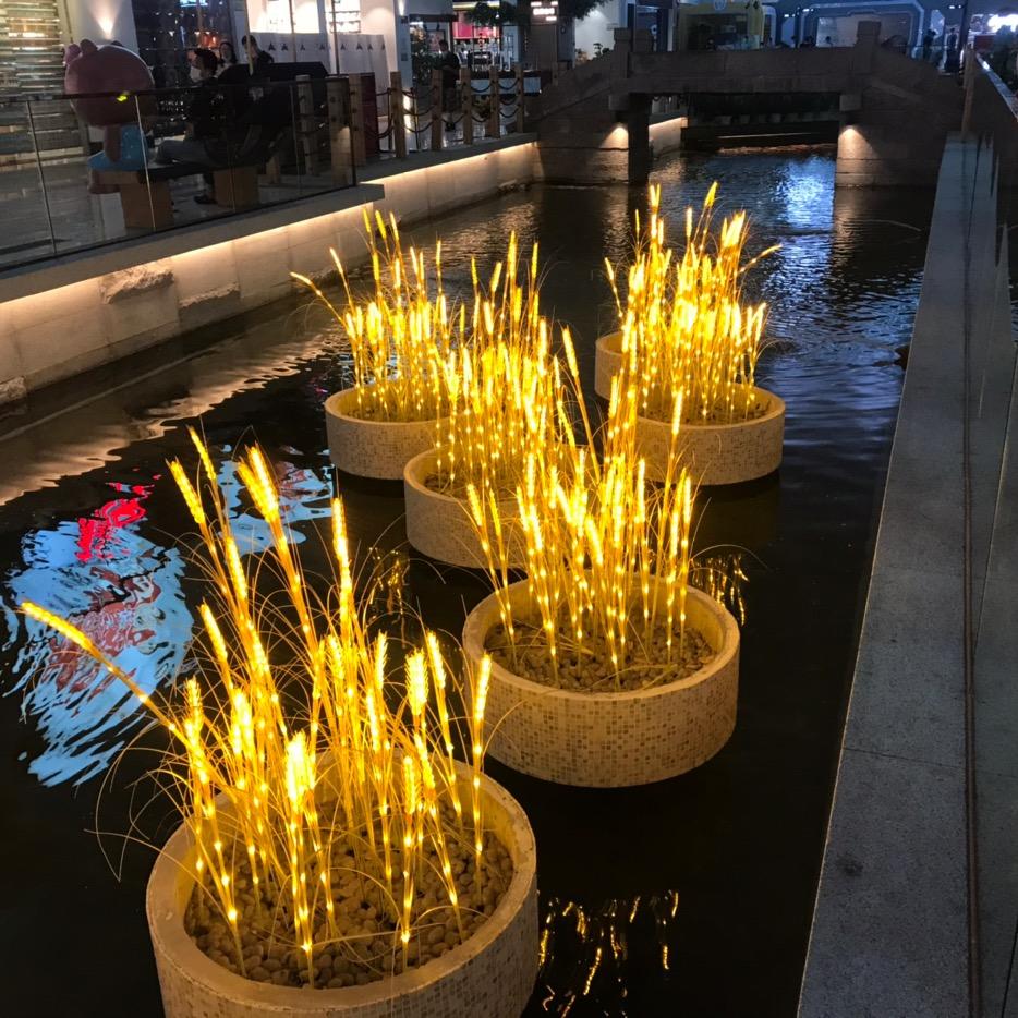 风水轮流转