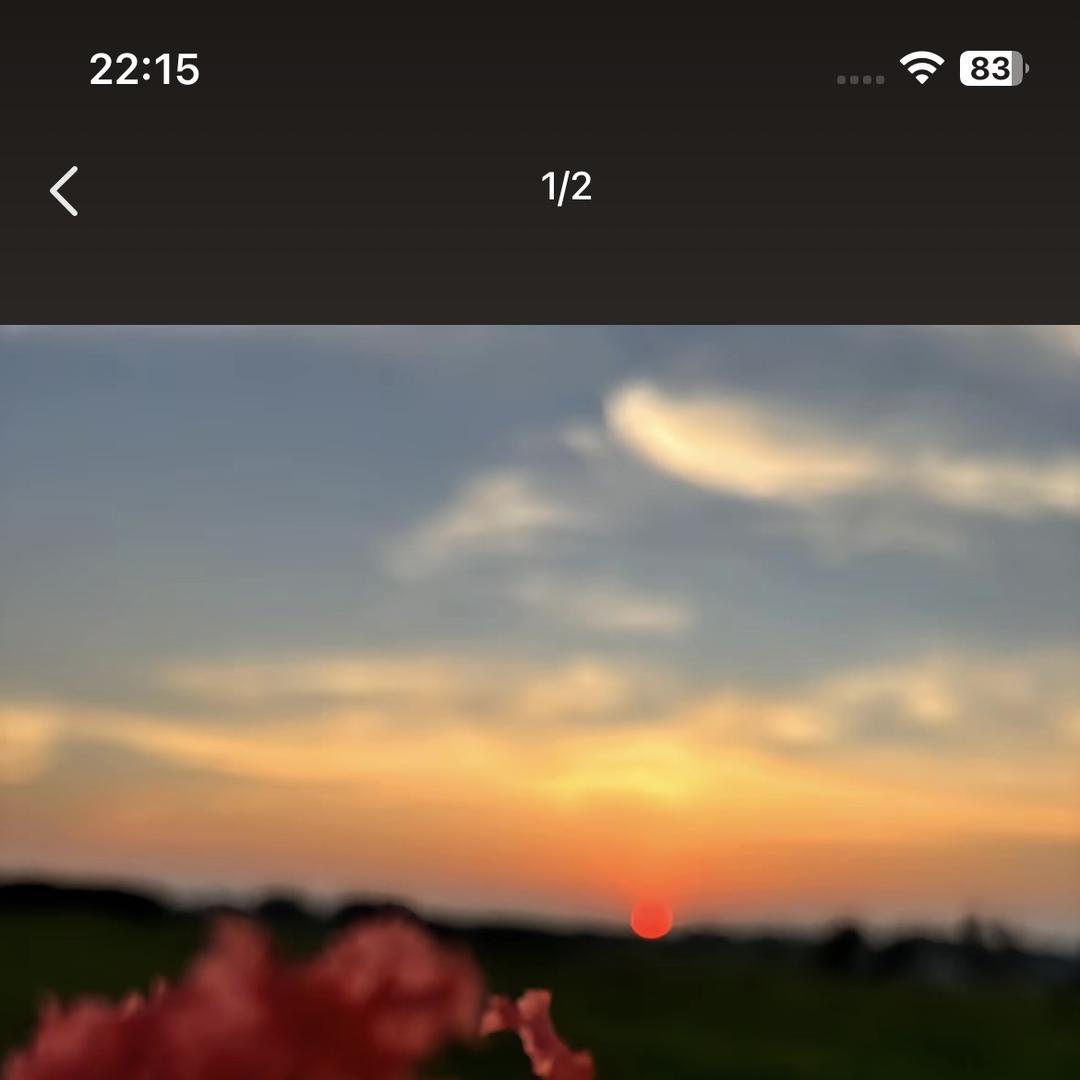 樱樱学姐小铺