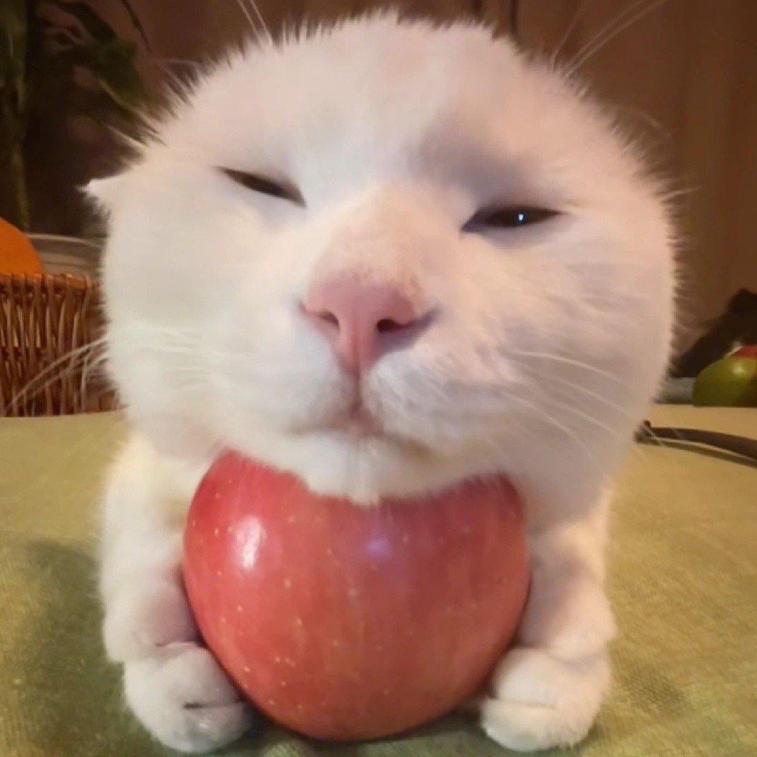 谁和我拼柠檬水