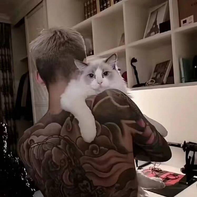 豪难任