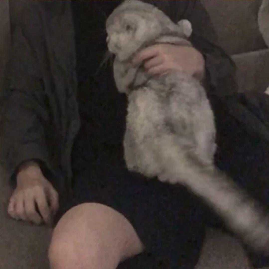 7゛