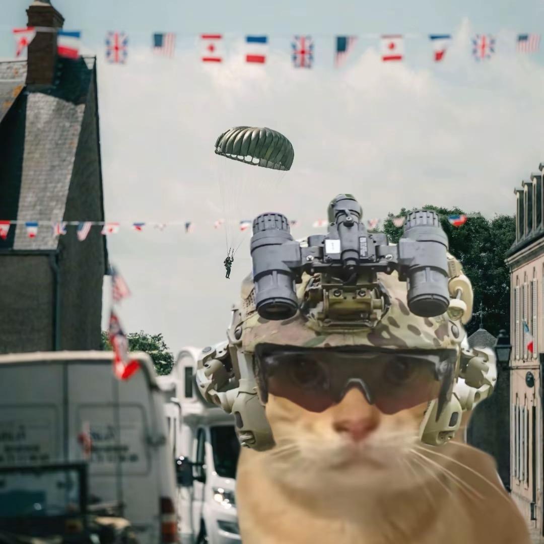 三角洲（佳佳）