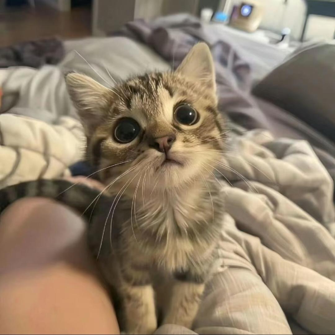 阁💕