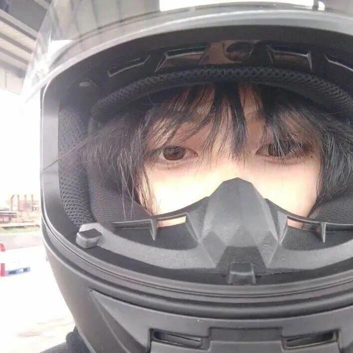 抓一头猪回家🌈