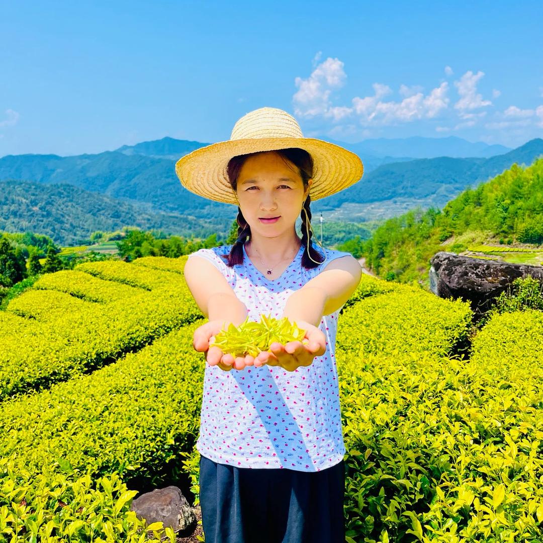 古月胡茶铺（遂昌高山手工黄金芽）