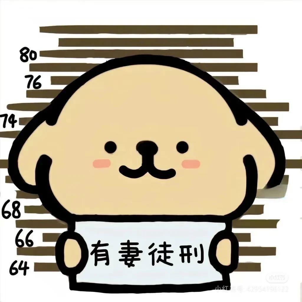 丛林土鳖🐢