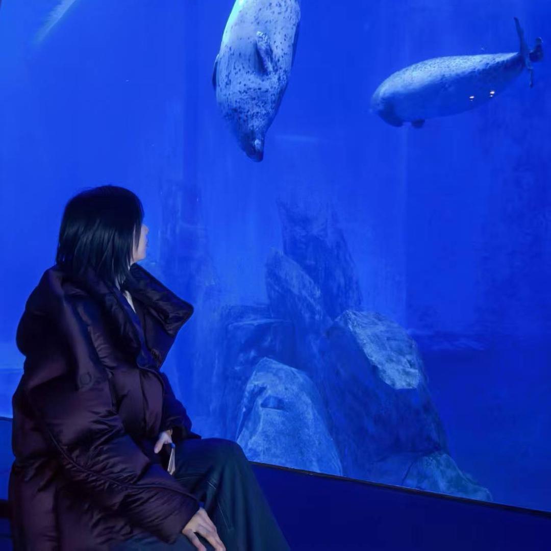 宝藏姐来啦