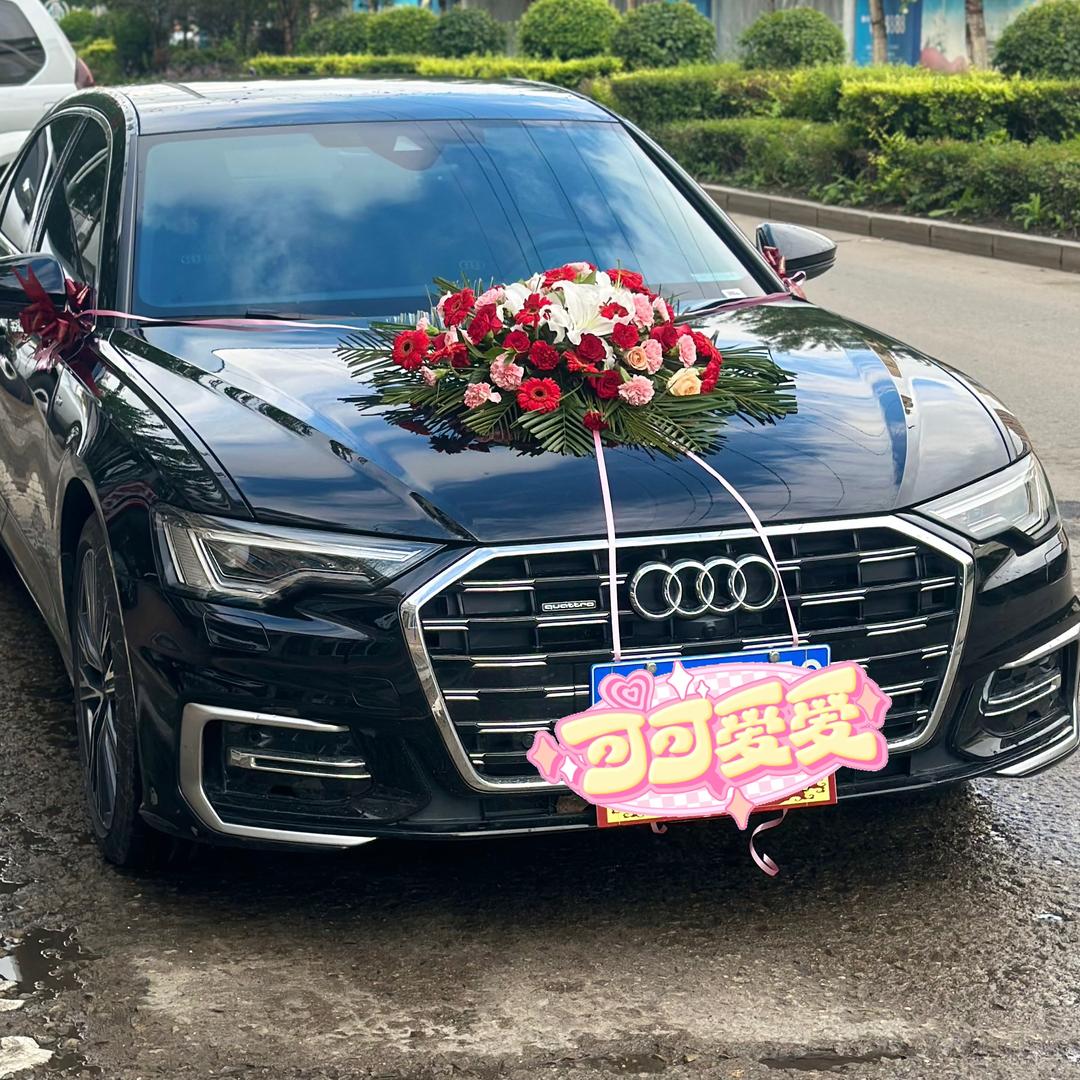 ༺❀ൢ龍騰四海❀ൢ༻