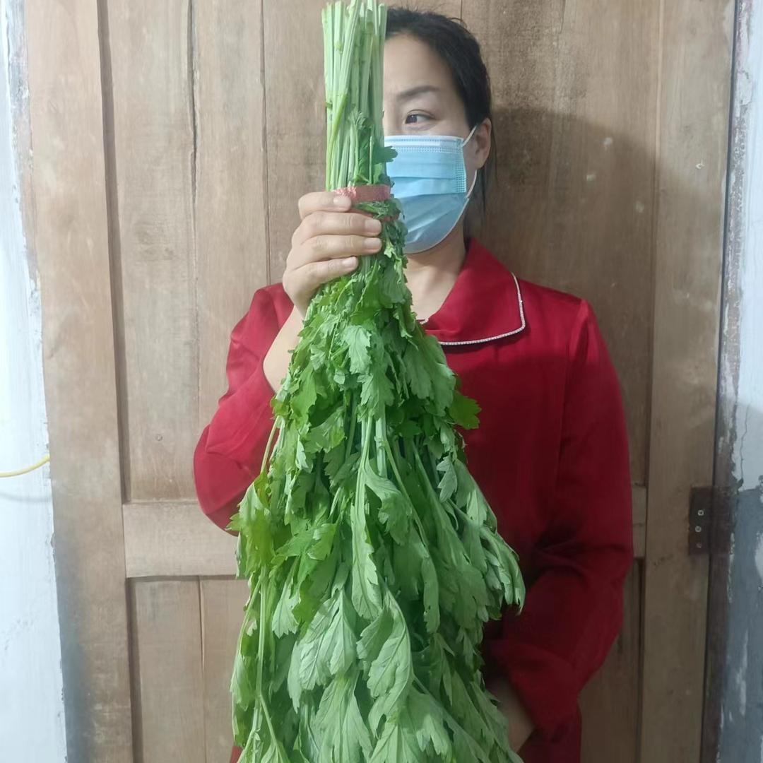青青草业1