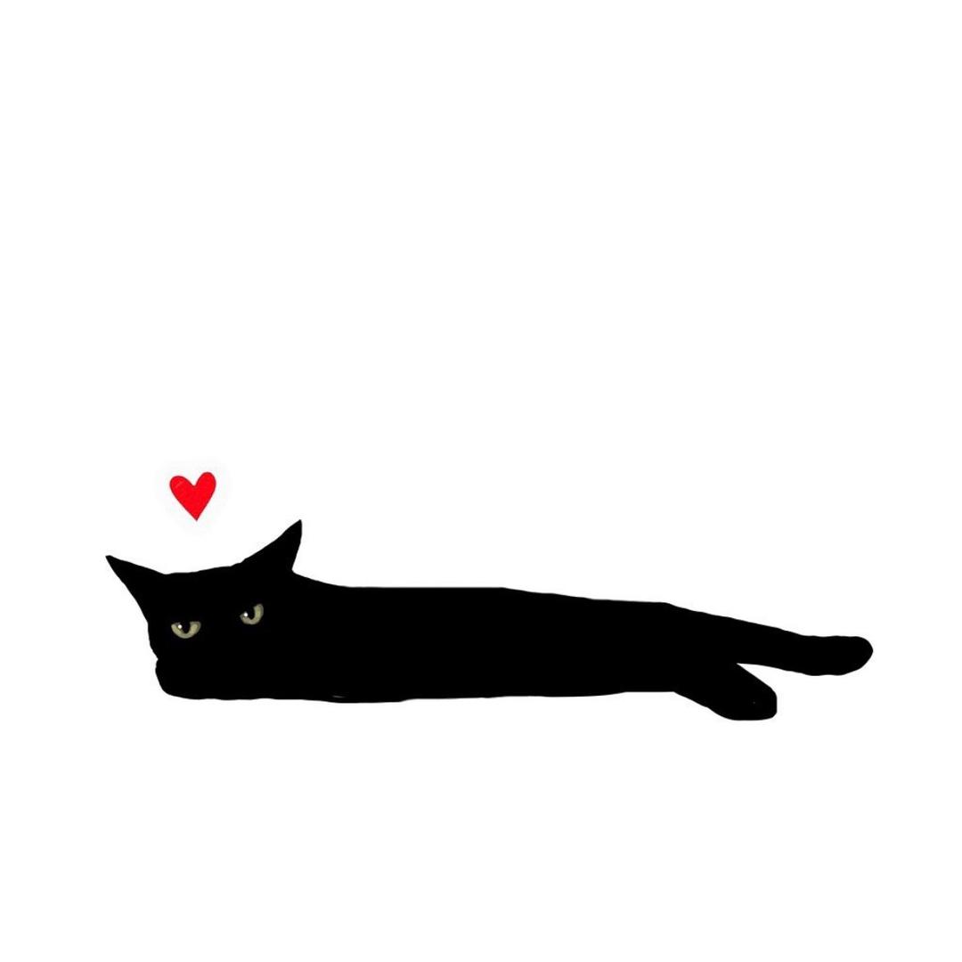 点点是只（黑猫）